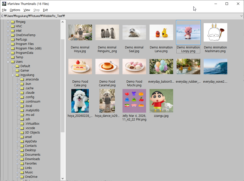 IrfanView file selection