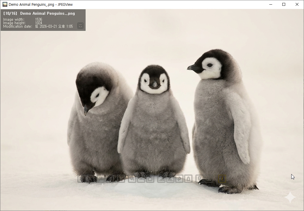 JPEGView image viewer