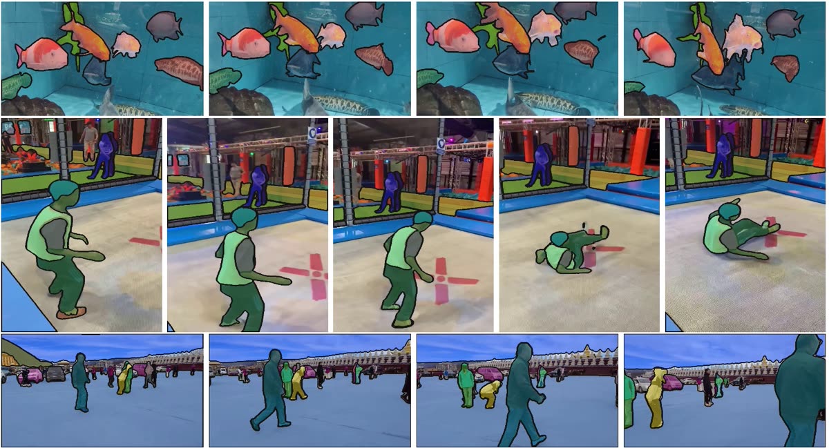 Three rows of SAM2 segmentation results: aquarium fish, a breakdancer across multiple frames, and pedestrians on a bridge — each with colored mask overlays