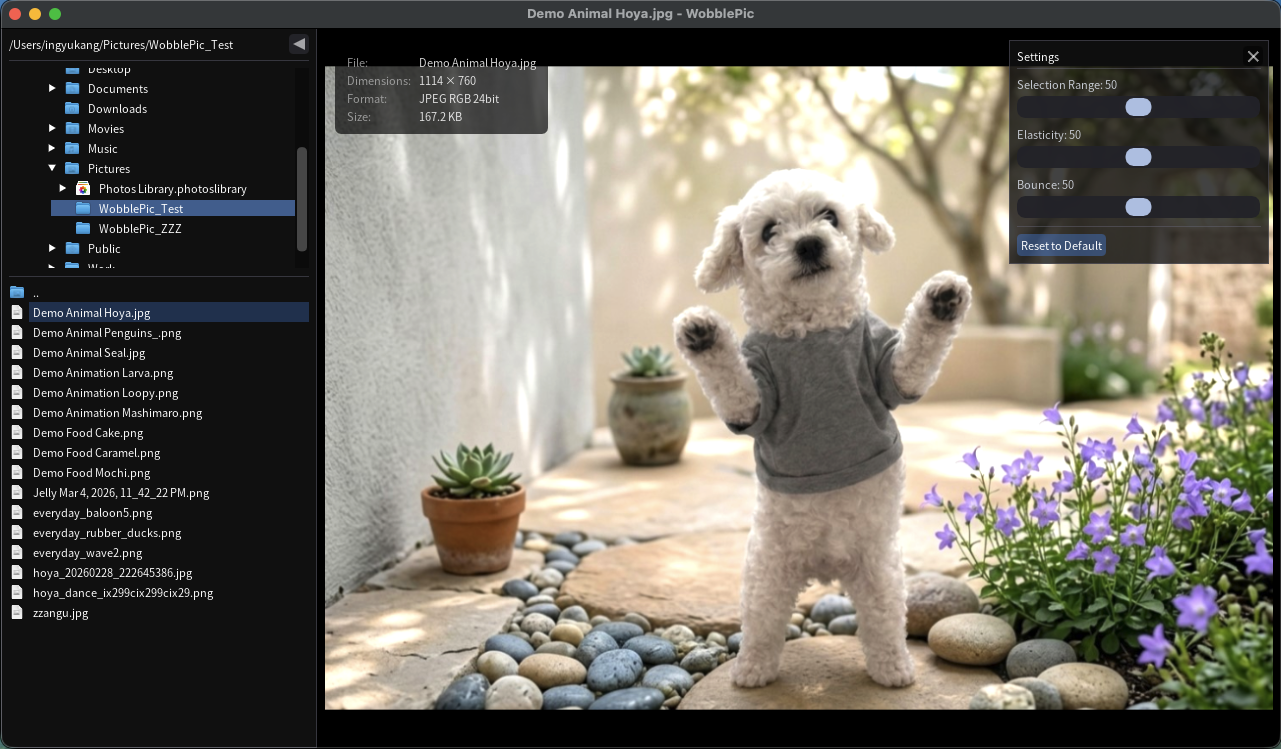 WobblePic UI overview — directory tree and file explorer panel on the left, image viewer on the right